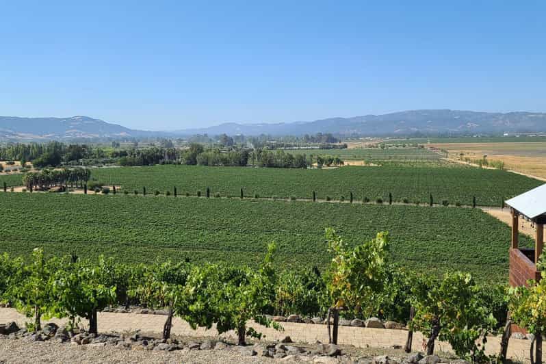 San Francisco: Half-Day Wine Tour with 2 Tastings Included - Through Sausalito and Marin County