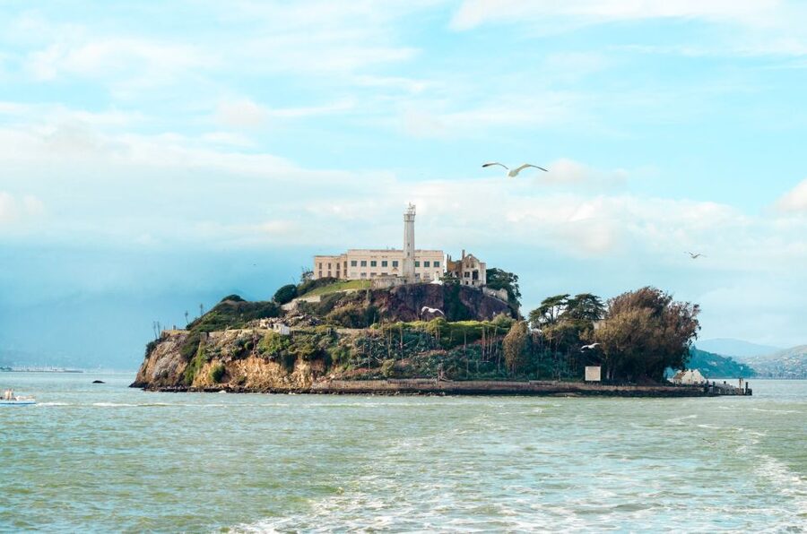 San Francisco: Hop-On Hop-Off Bus with Ferry & Alcatraz Tour - Haight-Ashbury and the Painted Ladies add neighborhood character