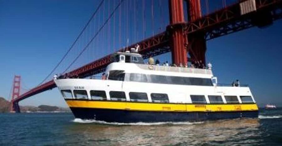 San Francisco: Hop-On Hop-Off City Bus Tour and Bay Cruise - Key points to know before booking