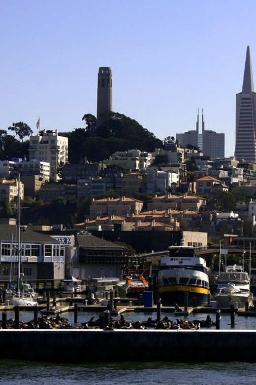 San Francisco: Hop-On Hop-Off City Bus Tour and Bay Cruise - See Alcatraz and the waterfront from the Bay
