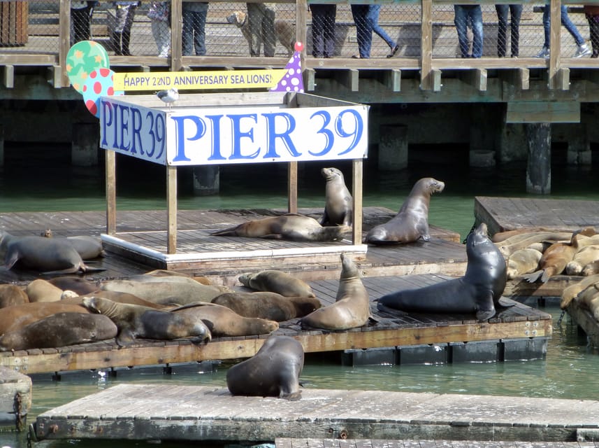 San Francisco: Hop-On Hop-Off City Bus Tour and Bay Cruise - Small details that can make the day easier