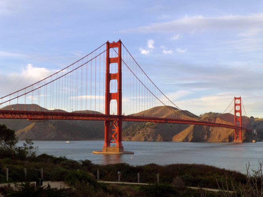 San Francisco: Hop-On Hop-Off + Muir Woods Tour - Beginning at Fisherman’s Wharf