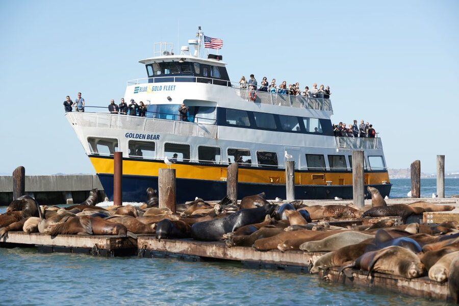 San Francisco: Inside Alcatraz Tour with Bay Cruise - Should you book it?