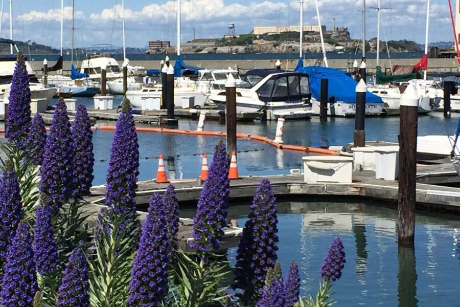 San Francisco: Major Landmarks Private Sightseeing Tour - Booking details that affect the decision
