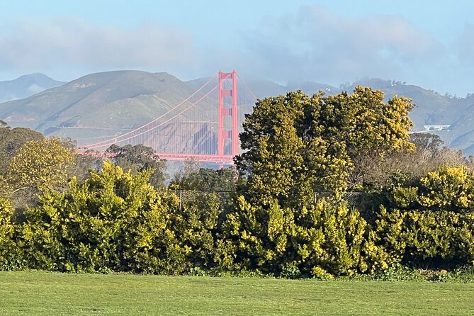 San Francisco: Major Landmarks Private Sightseeing Tour - Should you book Dingo Tours?