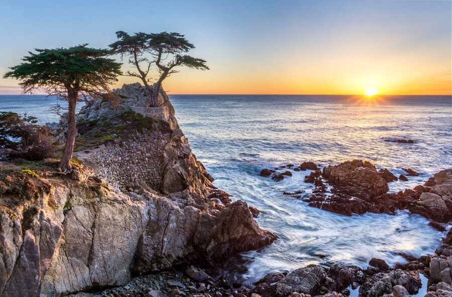 San Francisco: Monterey and Carmel Day Tour - Morning pickup and the road to Davenport