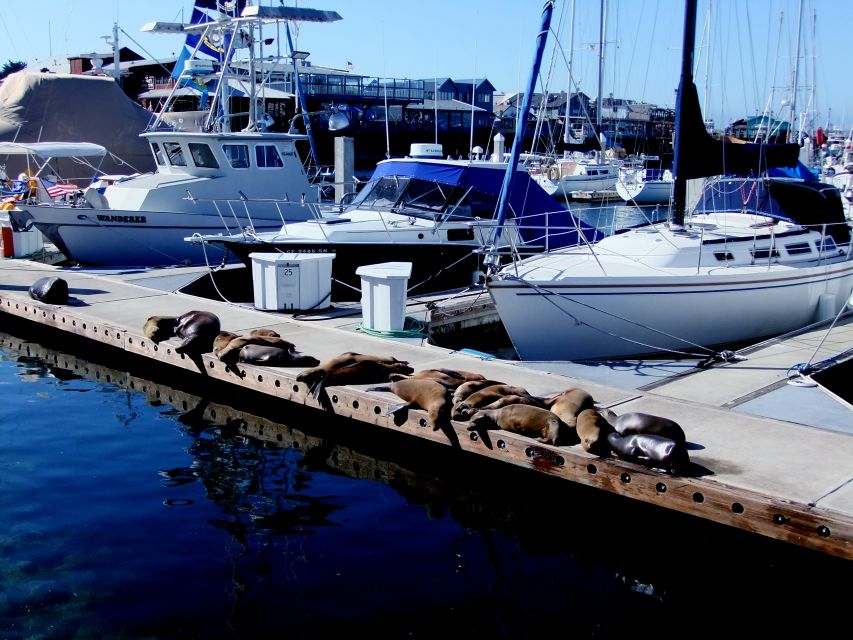 San Francisco: Monterey and Carmel Day Tour - Carmel-by-the-Sea in 45 minutes