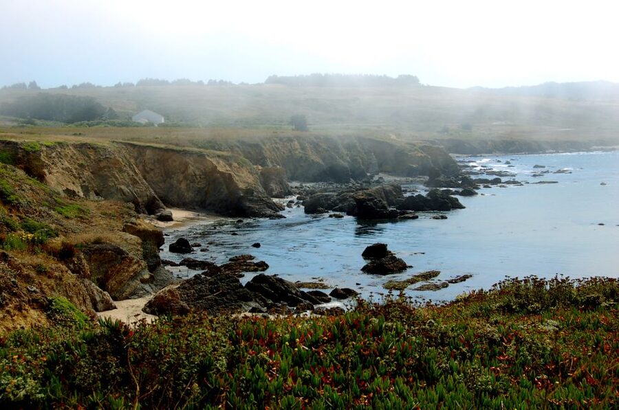 San Francisco: Monterey and Carmel Day Tour - The guide can make or break a long day
