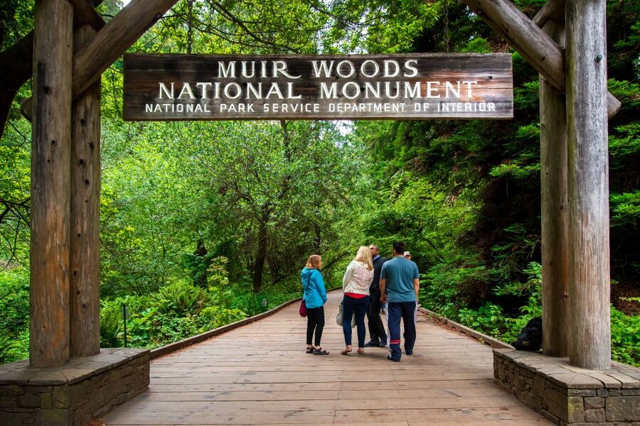 San Francisco: Morning Muir Woods & Sausalito Tour w/ Ferry - Sausalito gives you an hour by the water