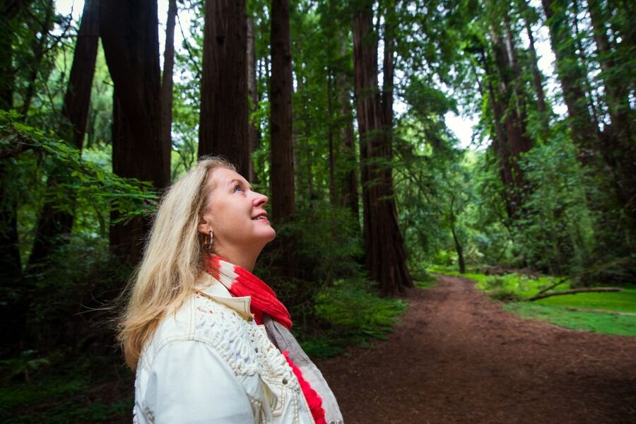 San Francisco: Morning Muir Woods & Sausalito Tour w/ Ferry - Guides, vehicles, and the small risks to consider