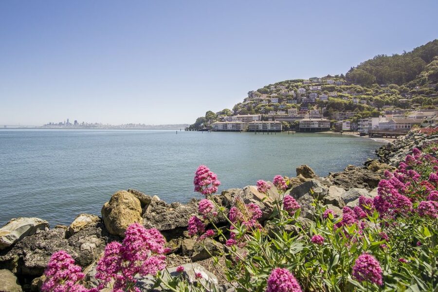 San Francisco: Muir Woods and Sausalito Experience - From the Palace of Fine Arts to the Golden Gate Bridge