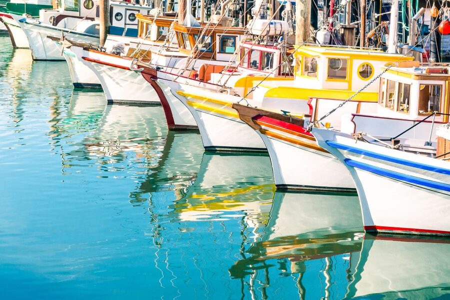 San Francisco: Muir Woods and Sausalito Half-Day Trip - Should you book the Muir Woods and Sausalito tour?
