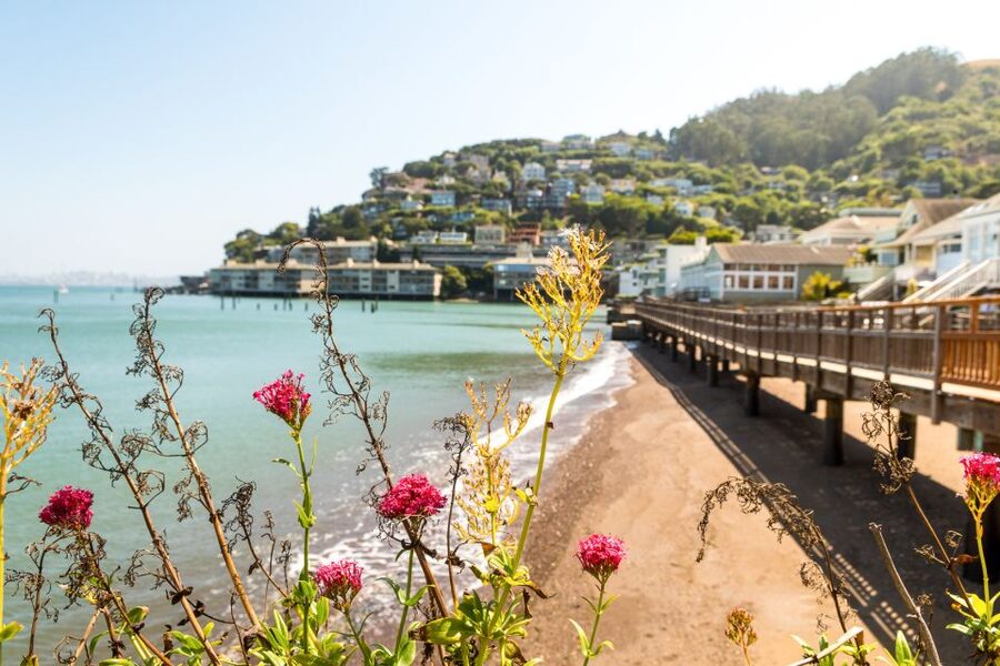 San Francisco: Muir Woods and Sausalito Half-Day Trip - The short ride to Sausalito