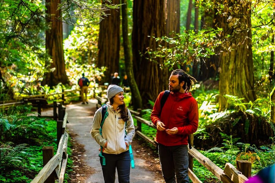 San Francisco: Muir Woods and Sausalito Half-Day Trip - What the $95 price really covers