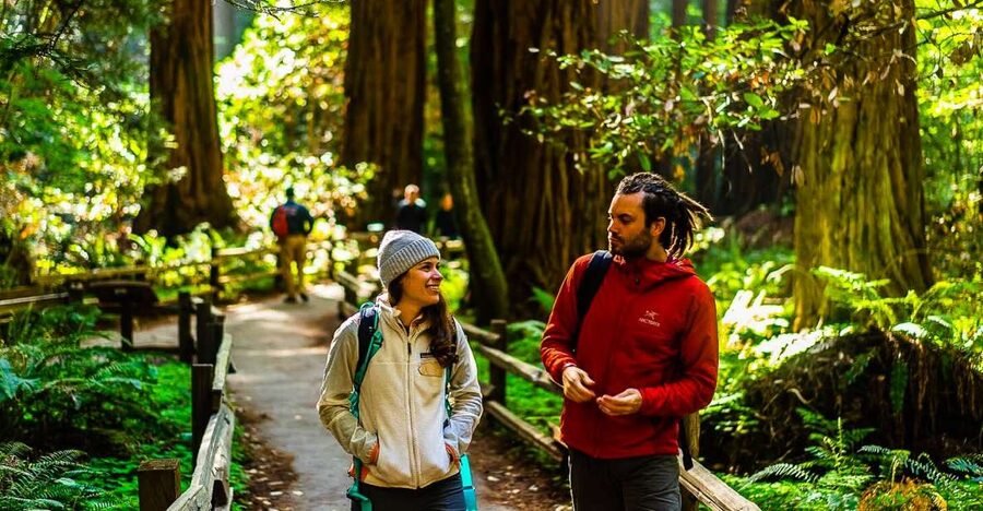 San Francisco: Muir Woods and Sausalito Half-Day Trip - Meeting at Hilton Union Square
