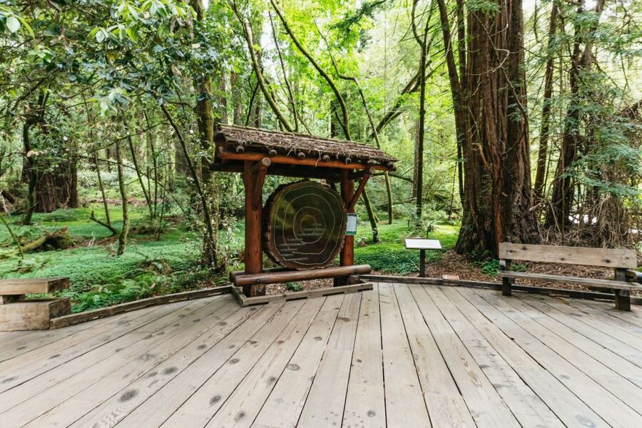 San Francisco: Muir Woods and Sausalito Small-Group Tour - Key points to know before booking