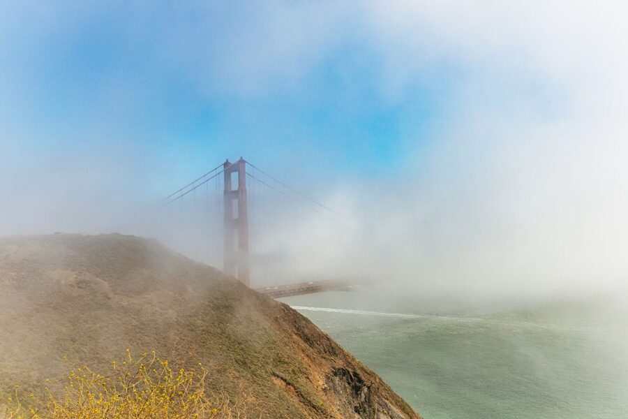 San Francisco: Muir Woods and Sausalito Small-Group Tour - Who should book this Muir Woods and Sausalito outing?