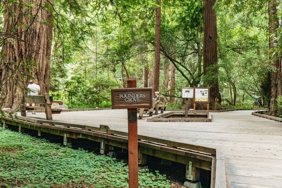 San Francisco: Muir Woods and Sausalito Small-Group Tour - The road through Marin County and Mount Tamalpais