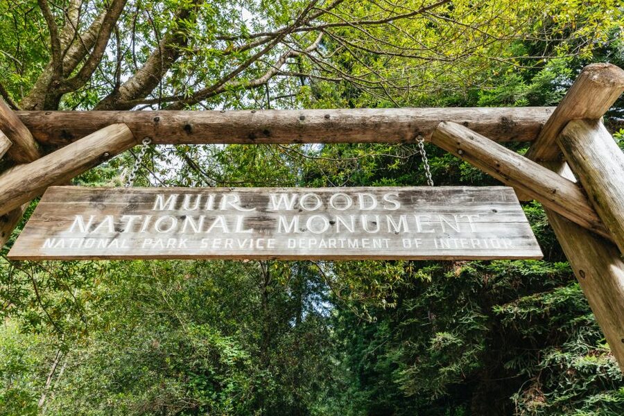 San Francisco: Muir Woods and Sausalito Small-Group Tour - Is $99 a good value?
