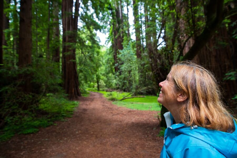 San Francisco: Muir Woods and Sausalito Tour with Admission - Key points to know before booking