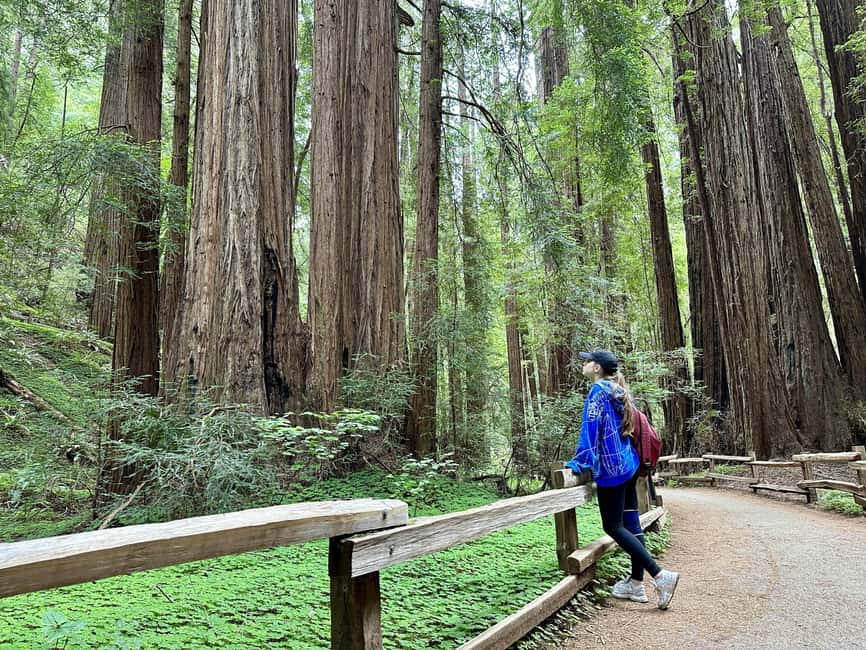 San Francisco: Muir Woods and Sausalito Tour with Admission - What the $89 price really includes
