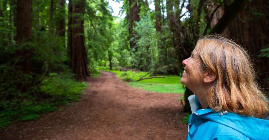 San Francisco: Muir Woods and Sausalito Tour with Admission - Walking beneath the giant Coast Redwoods