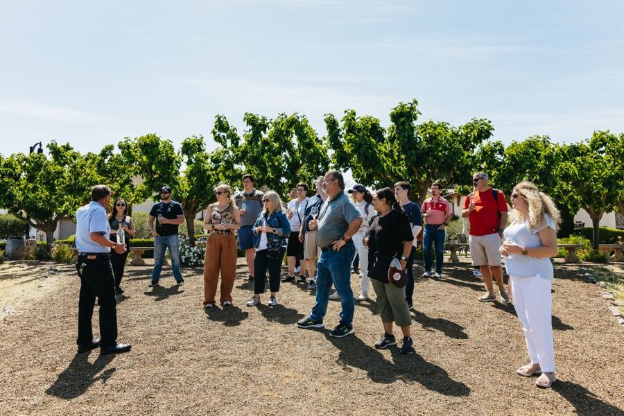 San Francisco: Muir Woods, Napa & Sonoma Valley Wine Tour - Muir Woods: beautiful, quiet, and tightly timed