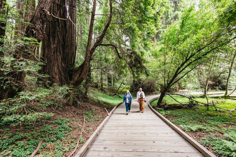 San Francisco: Muir Woods, Napa & Sonoma Valley Wine Tour - Ru Vango Winery and Jacuzzi Family Vineyards