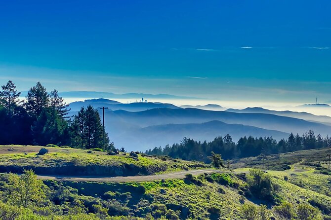 San Francisco: Muir Woods, Point Reyes, and Meadery Tour - Crossing the Golden Gate Bridge