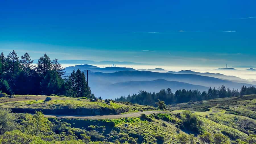 San Francisco: Muir Woods, Point Reyes, and Meadery Tour - Who should book this day trip?
