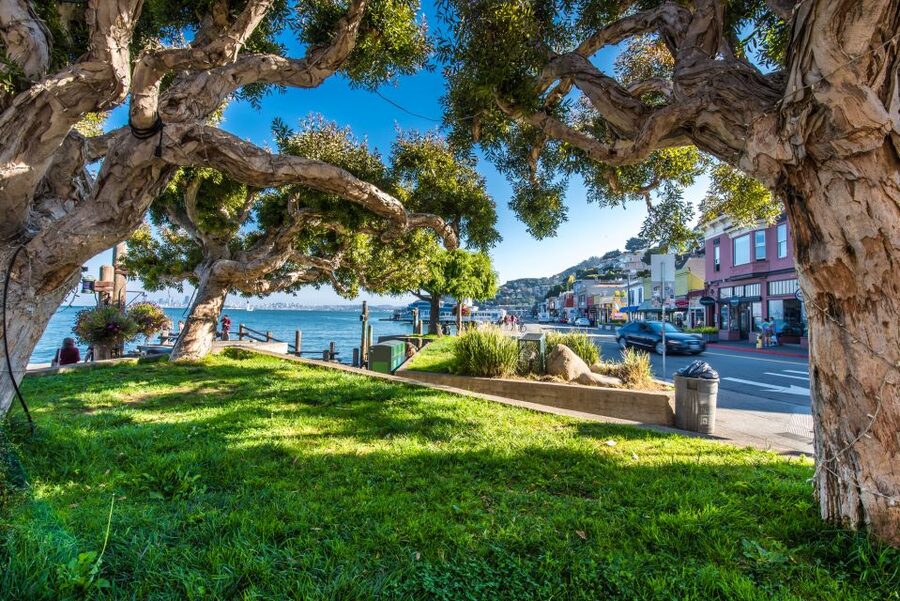San Francisco: Muir Woods, San Francisco and Sausalito Tour - Chinatown, Little Italy, and San Francisco’s changing neighborhoods