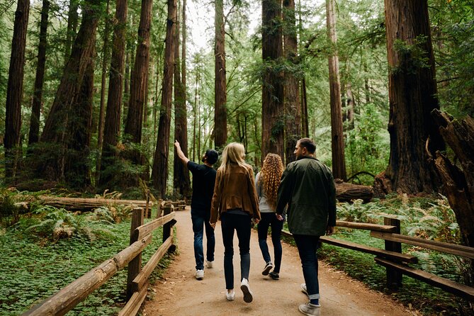 San Francisco, Muir Woods, Sausalito and optional Alcatraz tour - Muir Woods: the best part for many people