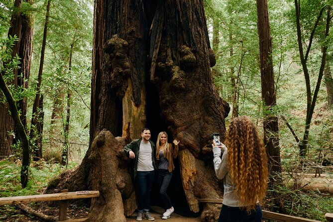 San Francisco, Muir Woods, Sausalito and optional Alcatraz tour - The optional Alcatraz upgrade