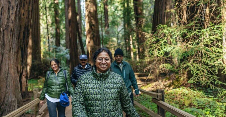San Francisco: Muir Woods, Sausalito and SF Bay Cruise - Key points at a glance