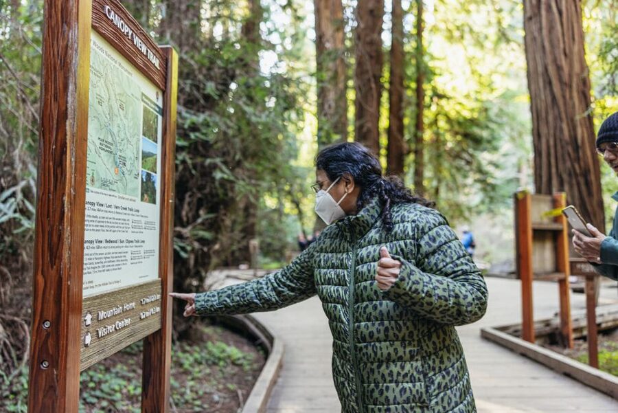 San Francisco: Muir Woods, Sausalito and SF Bay Cruise - Should you book the Muir Woods, Sausalito, and Bay Cruise tour?