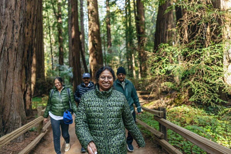 San Francisco: Muir Woods, Sausalito and SF Bay Cruise - Why this tour works as a San Francisco day plan