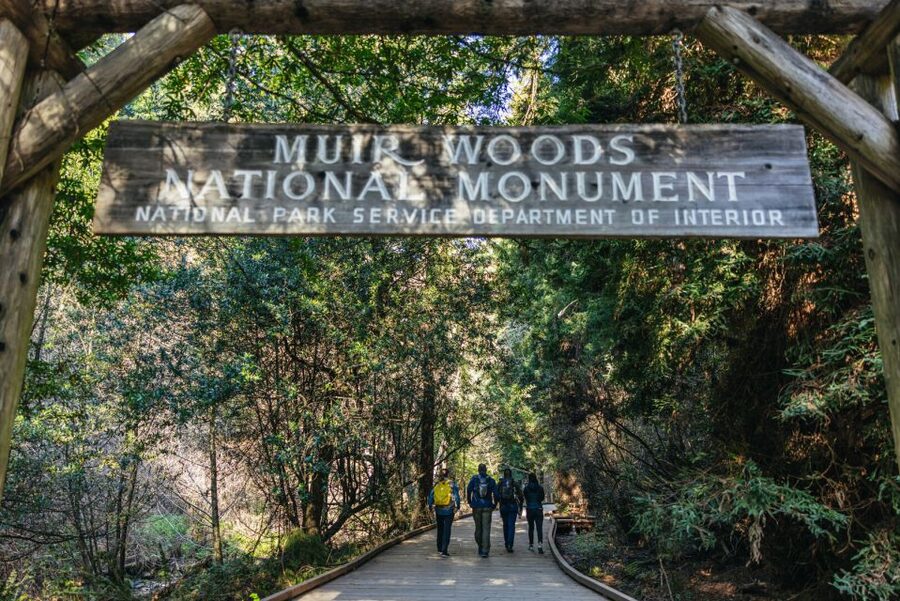 San Francisco: Muir Woods, Sausalito and SF Bay Cruise - The one-hour San Francisco Bay cruise