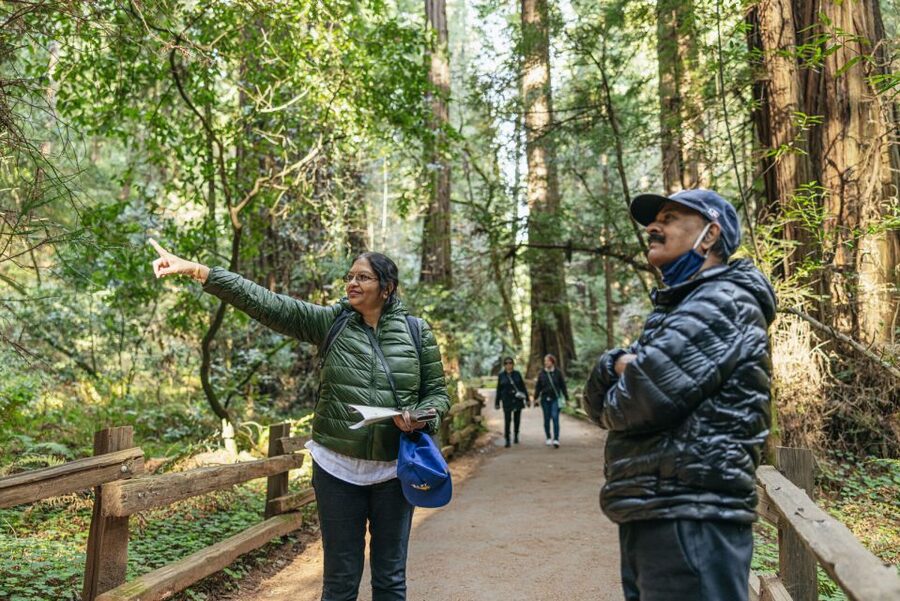 San Francisco: Muir Woods, Sausalito and SF Bay Cruise - What the $133 price really buys