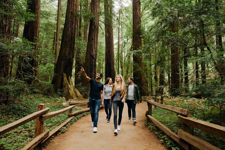 San Francisco: Muir Woods & Sausalito Tour w/Alcatraz Option - Why this San Francisco day works