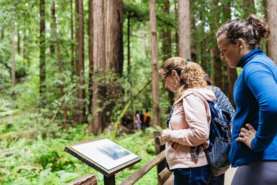 San Francisco: Muir Woods & Sausalito Tour with Ferry Option - The Golden Gate Bridge photo stop