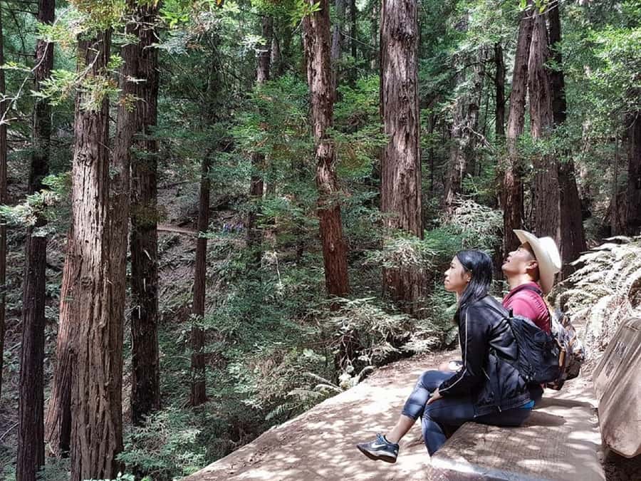 San Francisco: Muir Woods Tour & Golden Gate Bay Cruise - From Fisherman’s Wharf to the redwoods