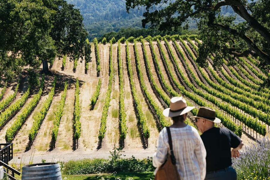 San Francisco: Napa and Sonoma Valley Wine Tour - Key points to know