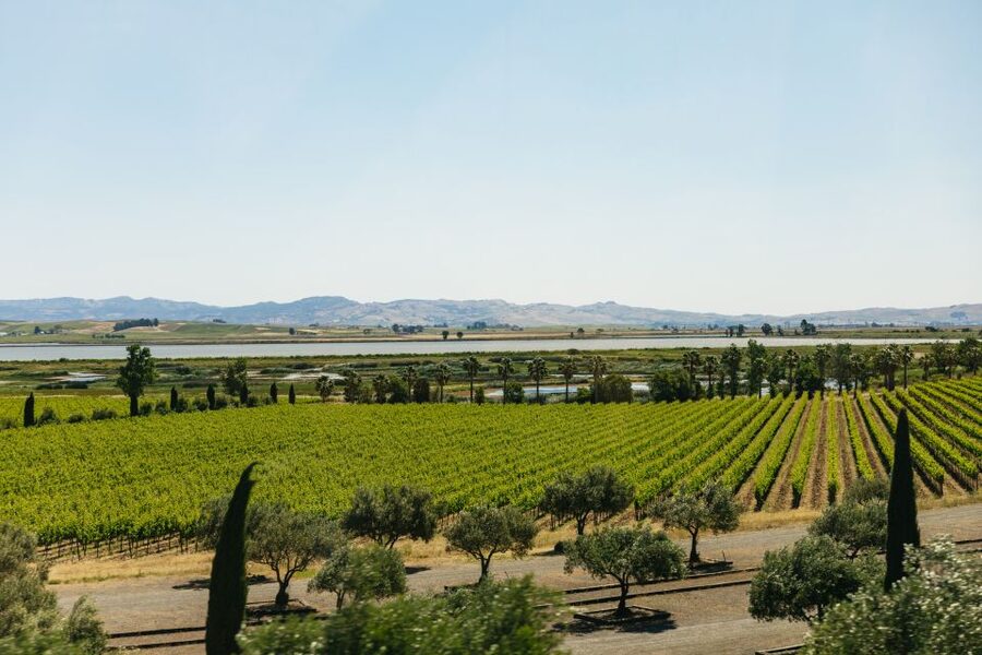 San Francisco: Napa and Sonoma Valley Wine Tour - Small details that make the day better