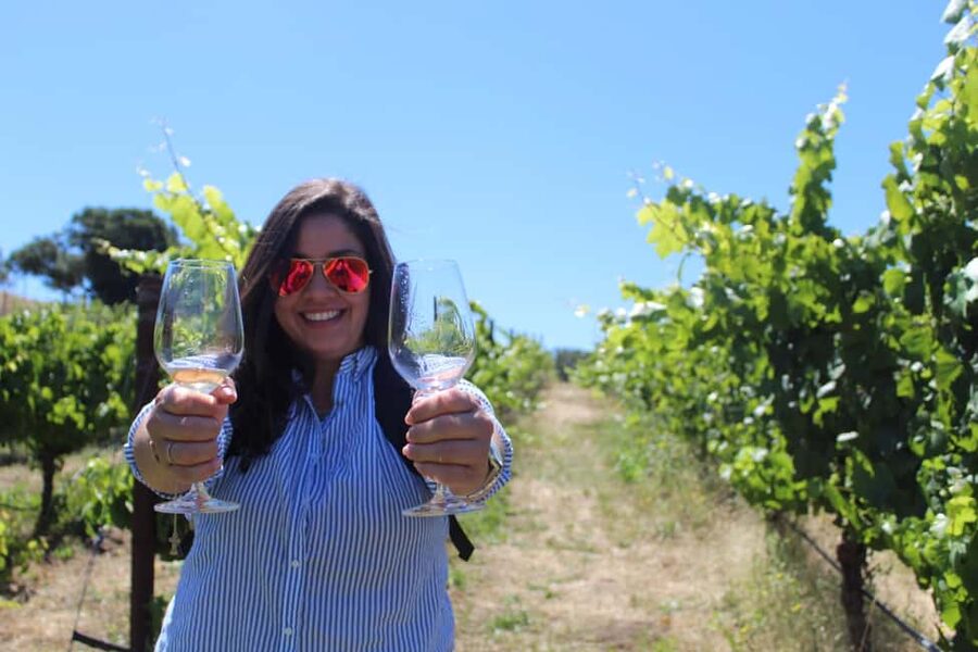 San Francisco: Napa and Sonoma Valley Wine Tour - Three wineries, three different moods