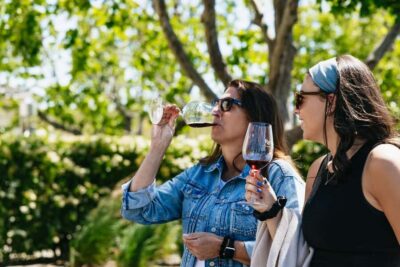 Napa and Sonoma Valley Wine Tour
