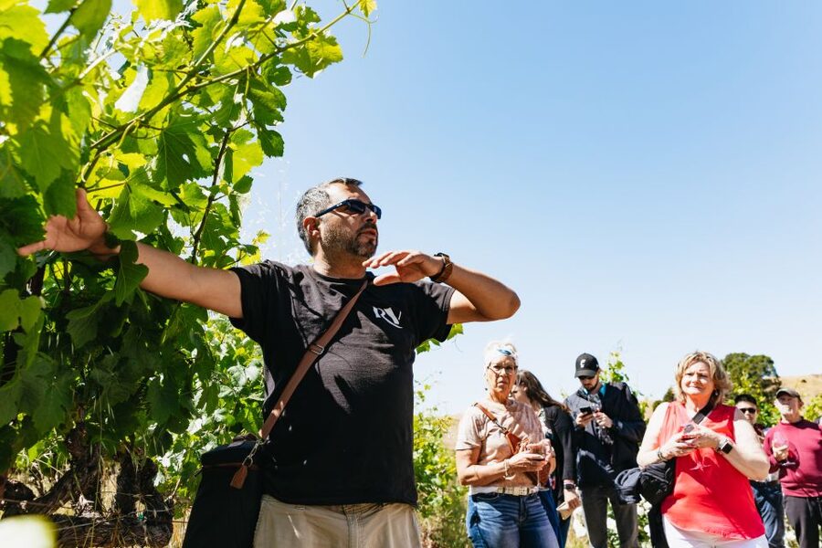 San Francisco: Napa and Sonoma Valley Wine Tour - What the tastings are really like