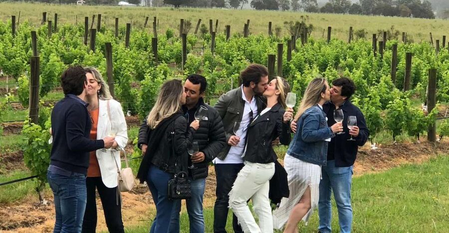 San Francisco: Napa Valley Half-Day Wine Tour with Tastings - From the Golden Gate Bridge to Napa’s vine-covered hills