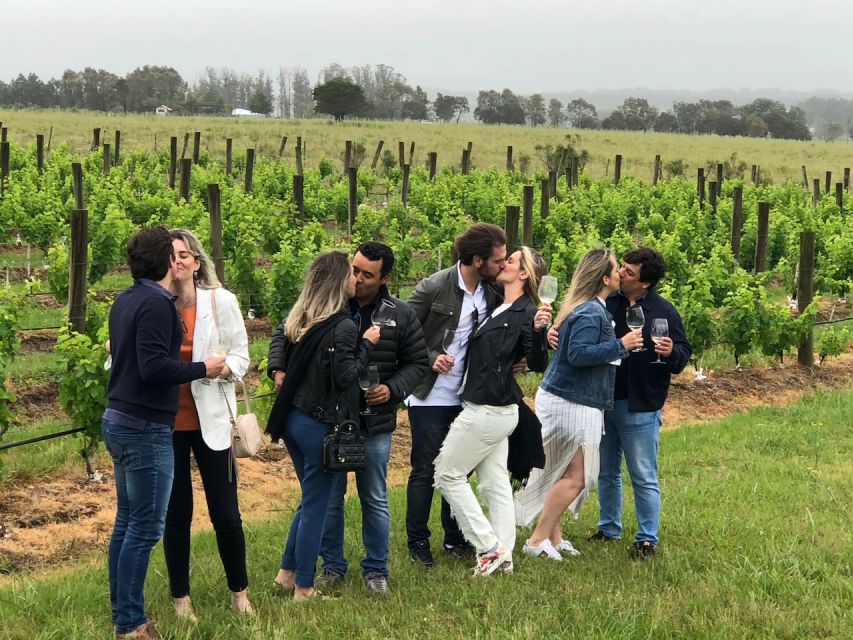 San Francisco: Napa Valley Half-Day Wine Tour with Tastings - The second stop brings more variety