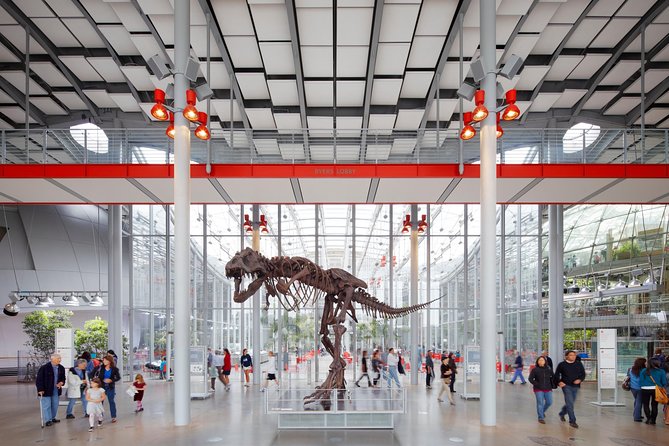 San Francisco Pass: Save up to 50% - Includes Big Bus Tours - Science museums that work for adults and children