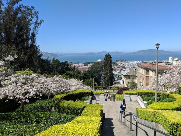 San Francisco Private City Tour - Coit Tower, Telegraph Hill, and Lombard Street